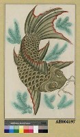 藏品(鯉魚﹝左﹞)的圖片